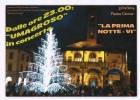 Ingrandisci la Foto
